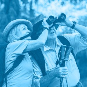 BIRDWATCHING: UN VIAGGIO TRA NATURA E OSSERVAZIONE