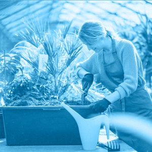 ORTICOLTURA BIOLOGICA E SINERGICA