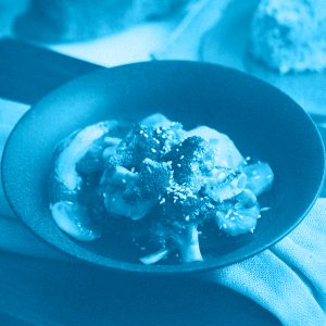 CUCINA VEGETARIANA GOURMET