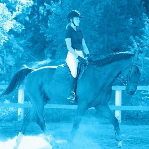 EQUITAZIONE PER PRINCIPIANTI (MINICLASS) (6-60 ANNI)