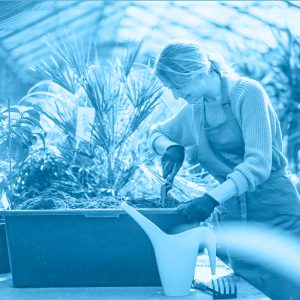 ORTICOLTURA BIOLOGICA E SINERGICA