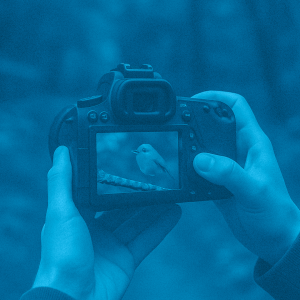 FOTOGRAFIA NATURALISTICA