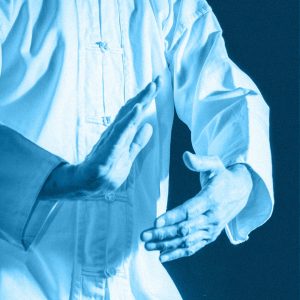QIGONG: I CINQUE ANIMALI