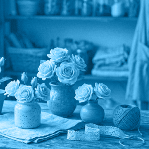 ROSE IN PORCELLANA FREDDA: CHE PASSIONE (MINICLASS)